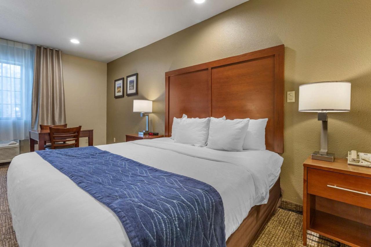 Comfort Inn I-17 & I-40 Флагстаф Екстериор снимка