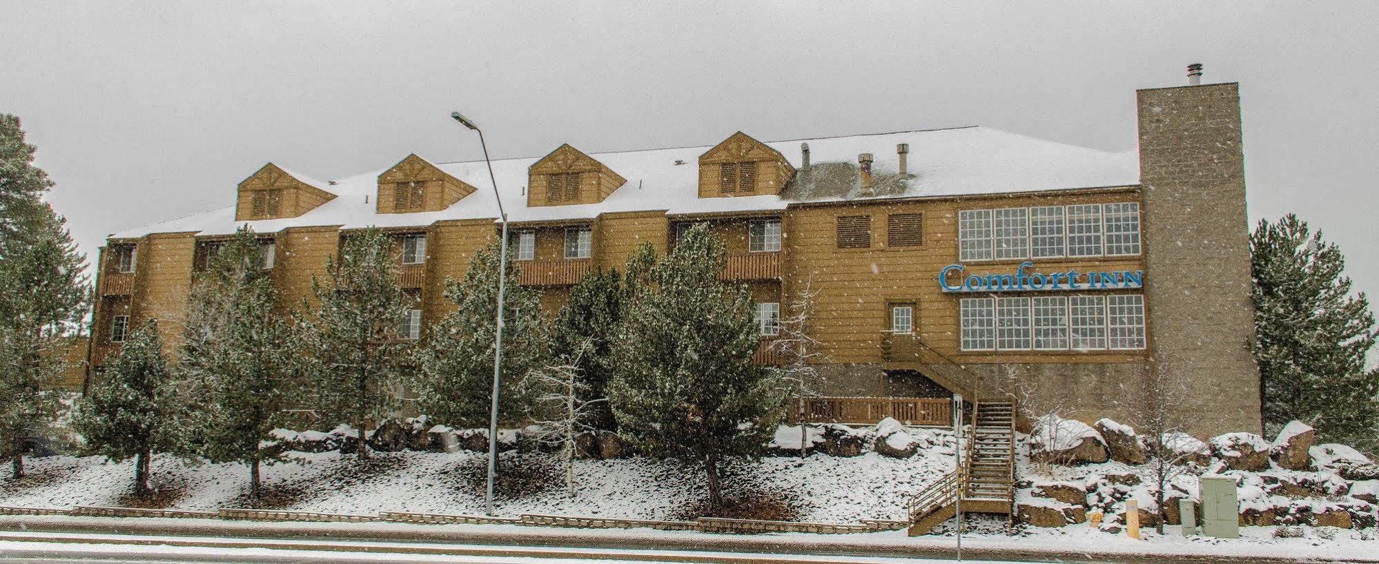 Comfort Inn I-17 & I-40 Флагстаф Екстериор снимка